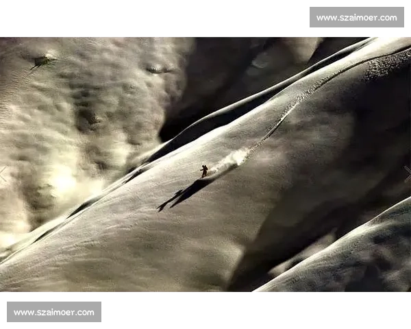 2026年度全国摄影大赛征稿启事捕捉美丽瞬间，展示独特视角